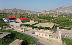 <b>查看更多2025年10月19</b>